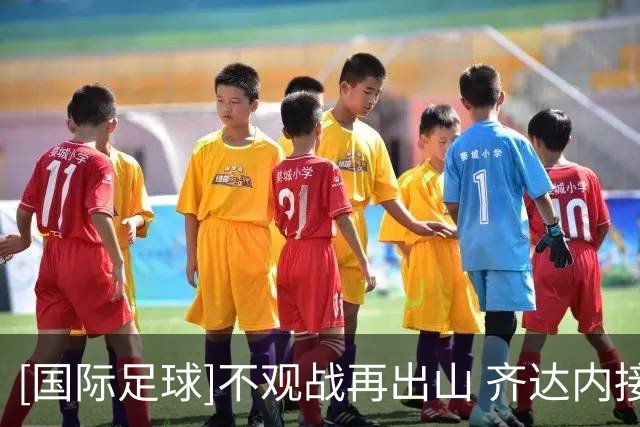 [国际足球]不观战再出山 齐达内接手法国队